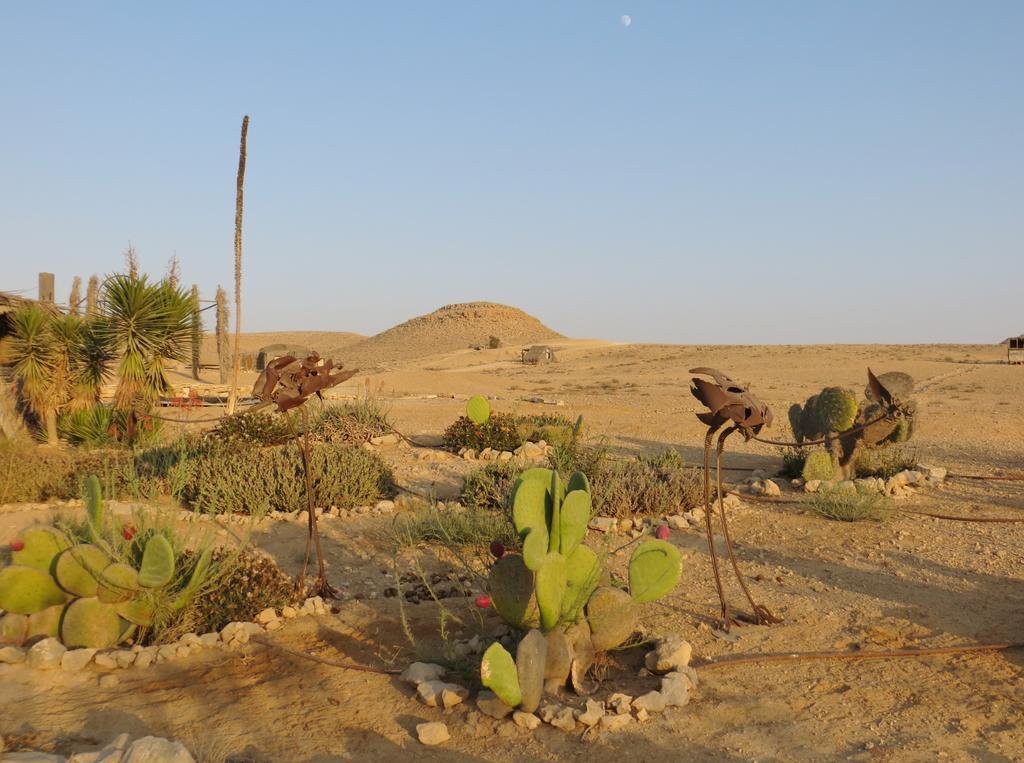 Succah In The Desert Мицпе Рамон Екстериор снимка