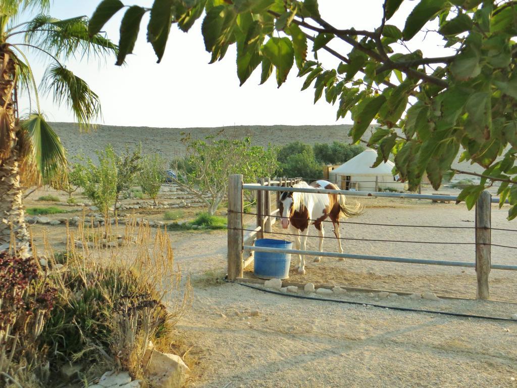 Succah In The Desert Мицпе Рамон Екстериор снимка