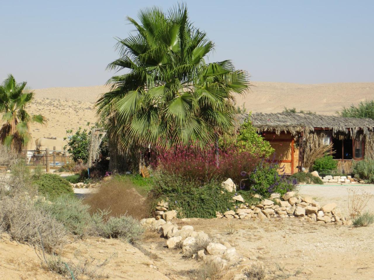 Succah In The Desert Мицпе Рамон Екстериор снимка